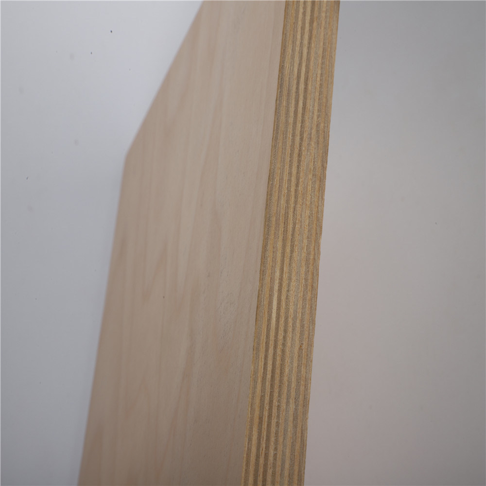 Birch Commercial Plywood Packing Grade