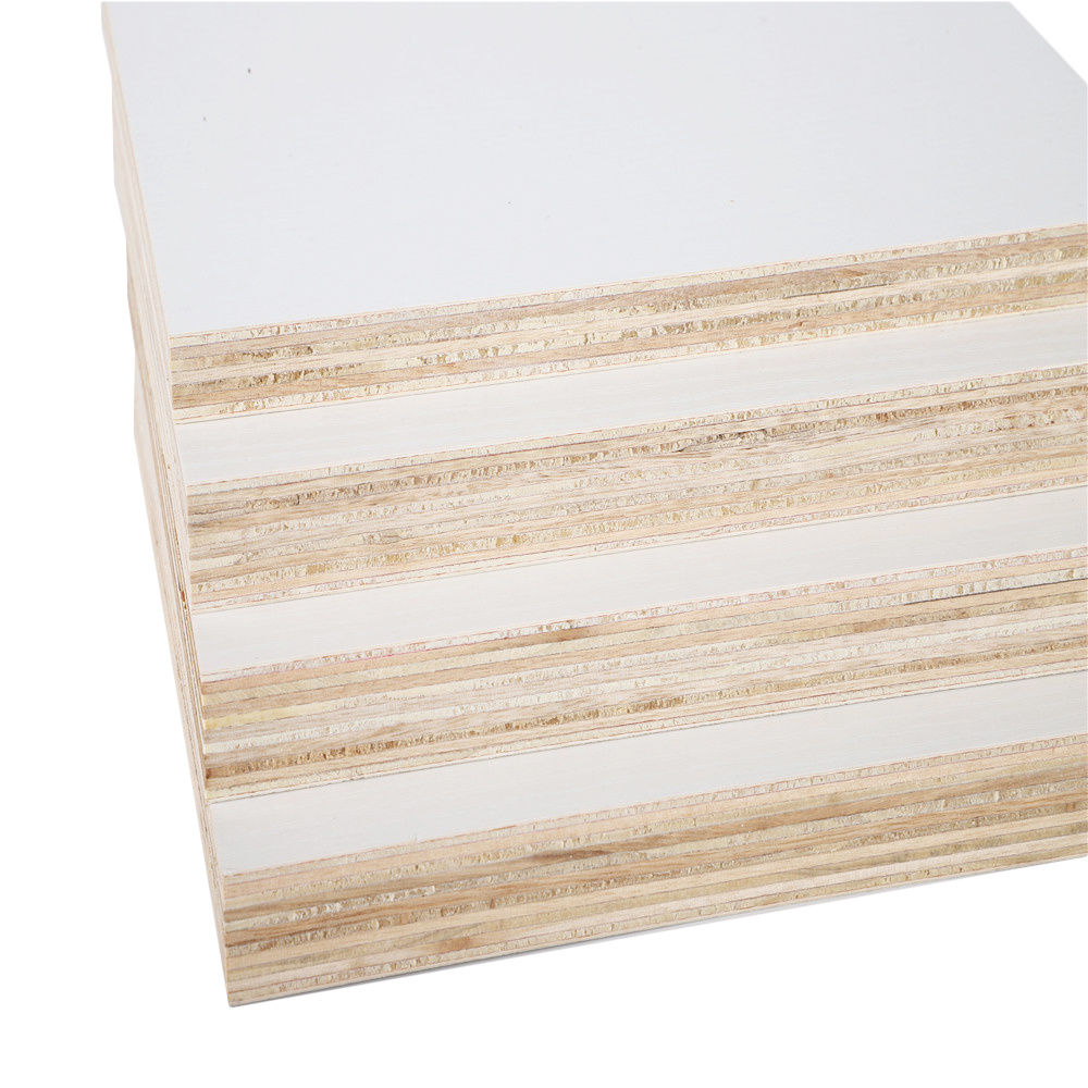 Top Quality White Melamine Plywood Film Faced Plywood Board