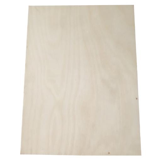 Commercial Russian Baltic White Birch Veneer Plywood Panel for Furniture