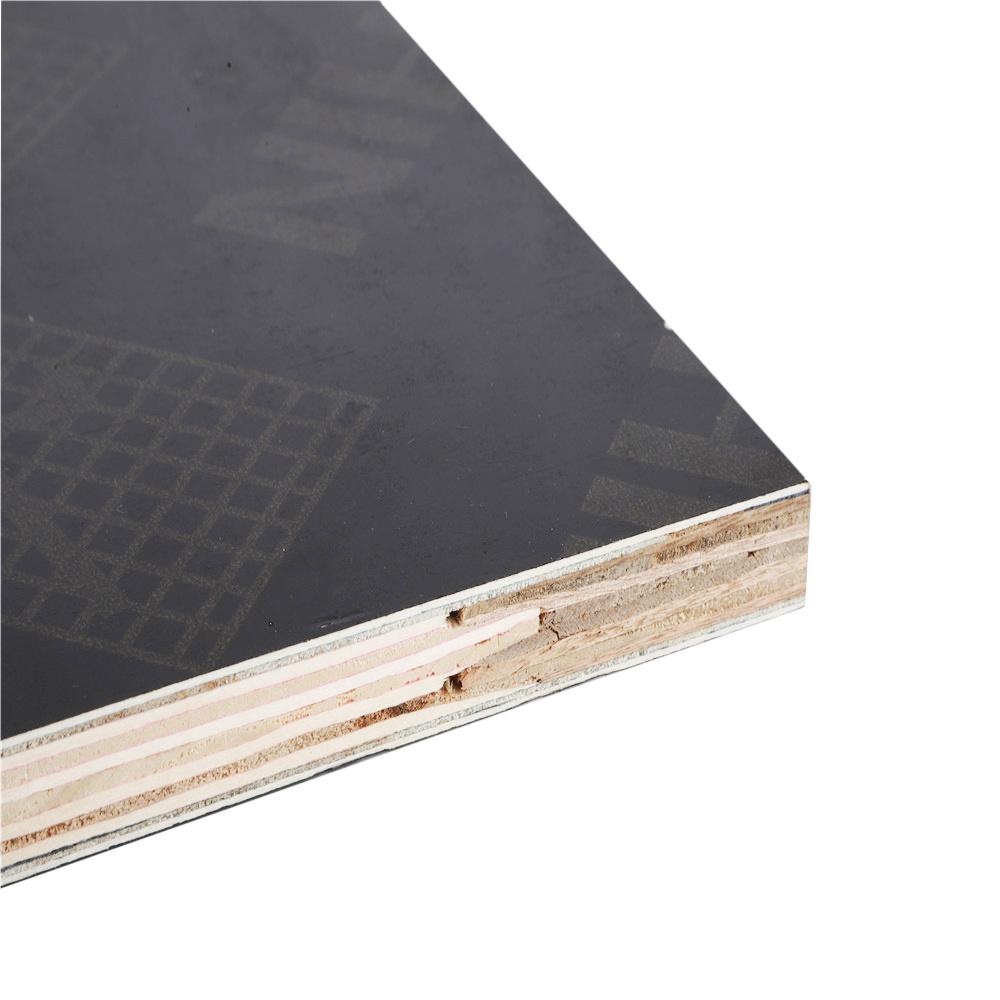 Shandong Province Black Film Faced Ply Wood Melamine Coated Finger Joint Ply Wood for Construction