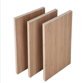 Wood Veneer Water Resistant Plywood of 19mm Plywood Price